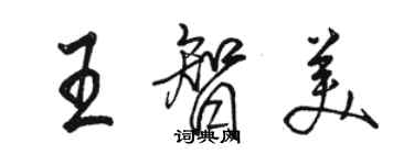 駱恆光王智美行書個性簽名怎么寫