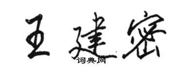 駱恆光王建密行書個性簽名怎么寫