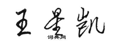 駱恆光王星凱行書個性簽名怎么寫