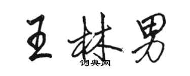 駱恆光王林男行書個性簽名怎么寫