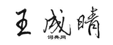 駱恆光王成晴行書個性簽名怎么寫