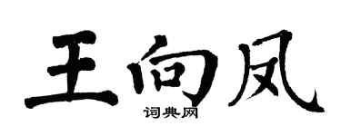 翁闓運王向鳳楷書個性簽名怎么寫