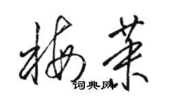 駱恆光梅茉草書個性簽名怎么寫