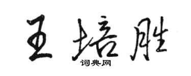 駱恆光王培勝行書個性簽名怎么寫