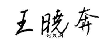 王正良王曉奔行書個性簽名怎么寫