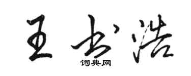 駱恆光王書浩行書個性簽名怎么寫