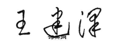 駱恆光王建澤草書個性簽名怎么寫