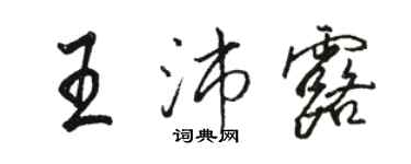 駱恆光王沛露行書個性簽名怎么寫