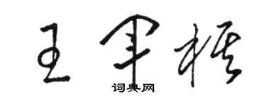 駱恆光王軍棋草書個性簽名怎么寫