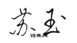 駱恆光蘇玉行書個性簽名怎么寫