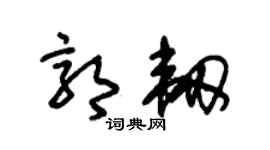 朱錫榮郭韌草書個性簽名怎么寫