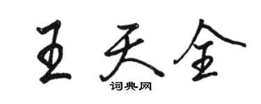 駱恆光王天全行書個性簽名怎么寫