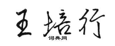 駱恆光王培行行書個性簽名怎么寫