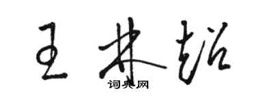 駱恆光王林超草書個性簽名怎么寫