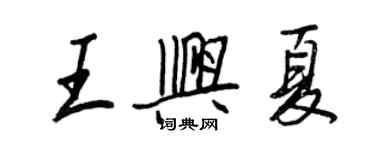 王正良王興夏行書個性簽名怎么寫