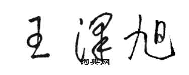 駱恆光王澤旭草書個性簽名怎么寫