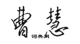 駱恆光曹慧行書個性簽名怎么寫