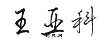 駱恆光王亞科行書個性簽名怎么寫