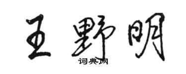 駱恆光王野明行書個性簽名怎么寫