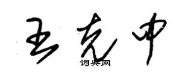 朱錫榮王克中草書個性簽名怎么寫