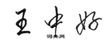 駱恆光王中好行書個性簽名怎么寫