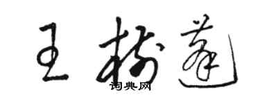 駱恆光王樹蓬草書個性簽名怎么寫