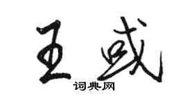 駱恆光王或行書個性簽名怎么寫