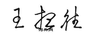 駱恆光王想往草書個性簽名怎么寫