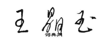 駱恆光王晶玉草書個性簽名怎么寫