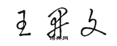 駱恆光王開文草書個性簽名怎么寫