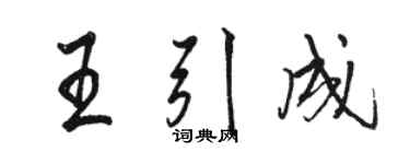 駱恆光王引成行書個性簽名怎么寫