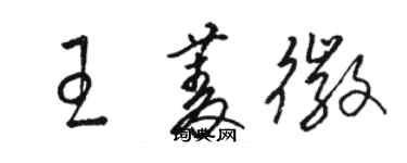 駱恆光王菱徽草書個性簽名怎么寫