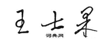 駱恆光王士果草書個性簽名怎么寫