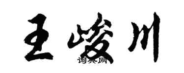 胡問遂王峻川行書個性簽名怎么寫