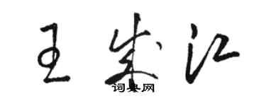 駱恆光王成江草書個性簽名怎么寫