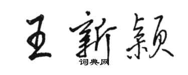 駱恆光王新穎行書個性簽名怎么寫