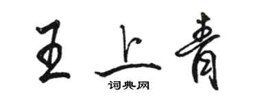 駱恆光王上青行書個性簽名怎么寫