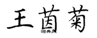 丁謙王茵菊楷書個性簽名怎么寫