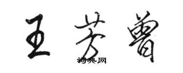 駱恆光王芳曾行書個性簽名怎么寫