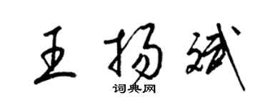 梁錦英王揚斌草書個性簽名怎么寫