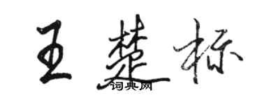 駱恆光王楚標行書個性簽名怎么寫