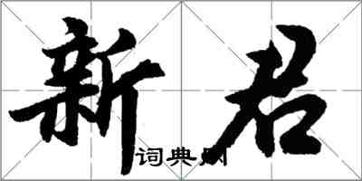 胡問遂新君行書怎么寫