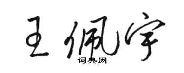 駱恆光王佩宇草書個性簽名怎么寫