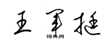 梁錦英王軍挺草書個性簽名怎么寫