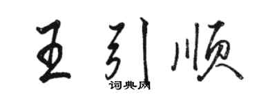 駱恆光王引順行書個性簽名怎么寫