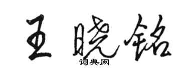 駱恆光王曉銘行書個性簽名怎么寫