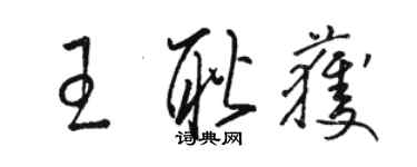 駱恆光王耿獲草書個性簽名怎么寫