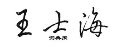 駱恆光王士海行書個性簽名怎么寫