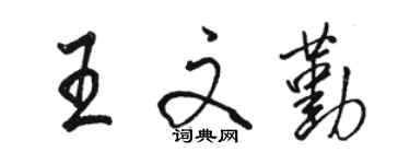 駱恆光王文勤行書個性簽名怎么寫