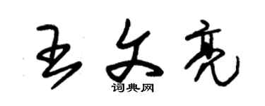 朱錫榮王文亮草書個性簽名怎么寫